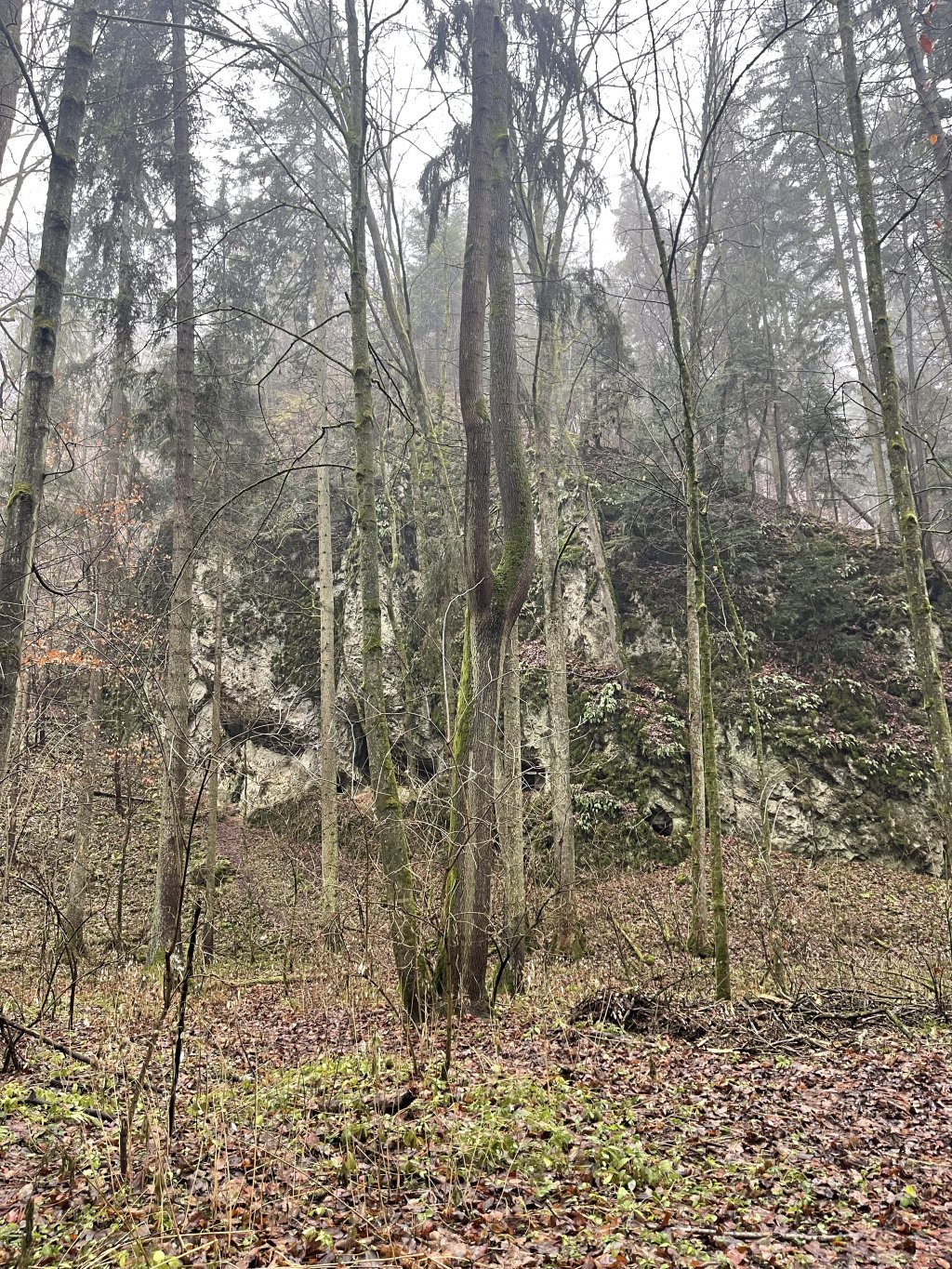 S čerty jsou žerty