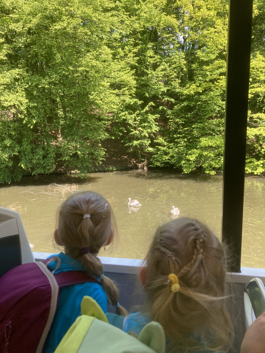 VÝLET DO ZOO DVŮR KRÁLOVÉ
