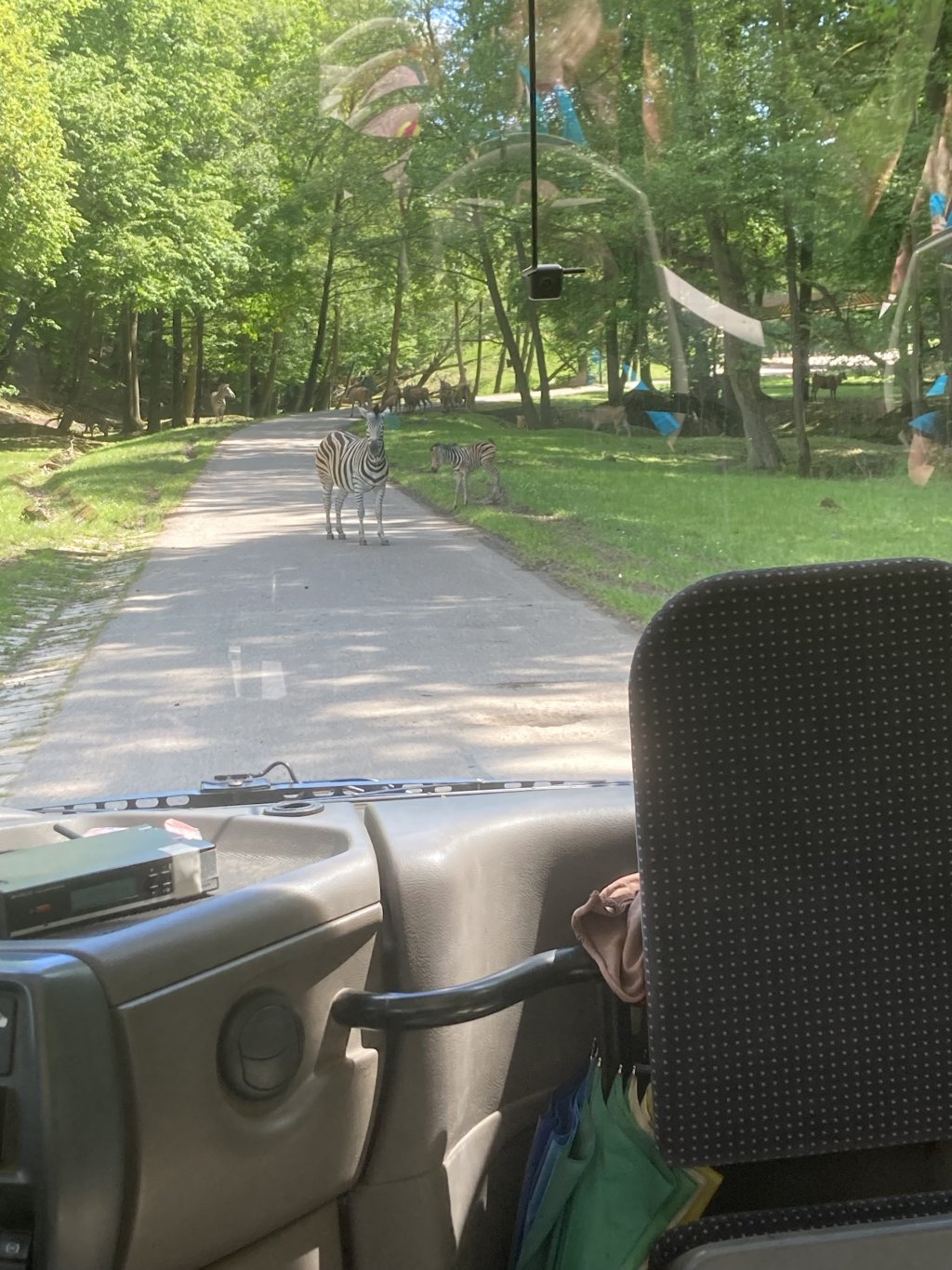 VÝLET DO ZOO DVŮR KRÁLOVÉ