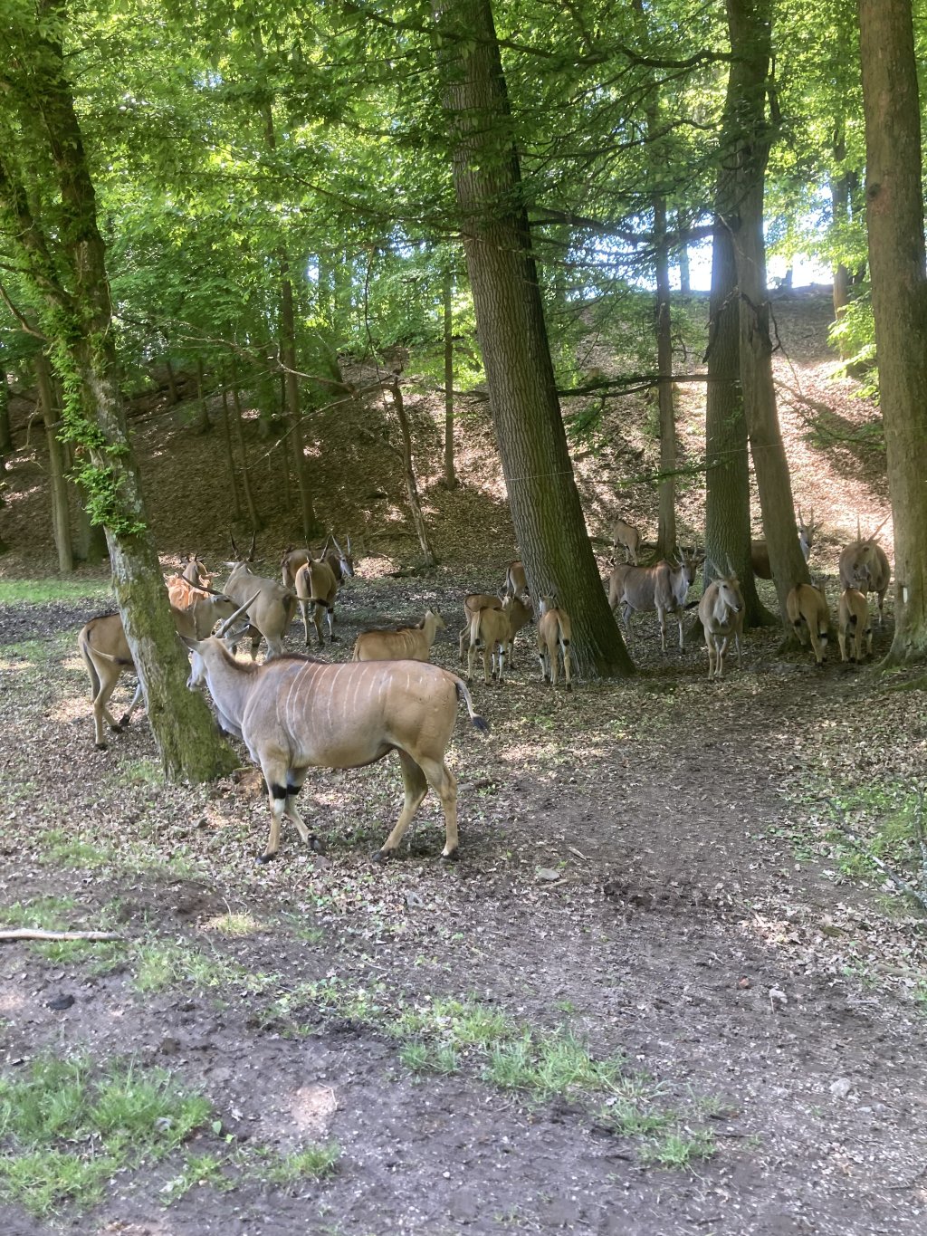 VÝLET DO ZOO DVŮR KRÁLOVÉ