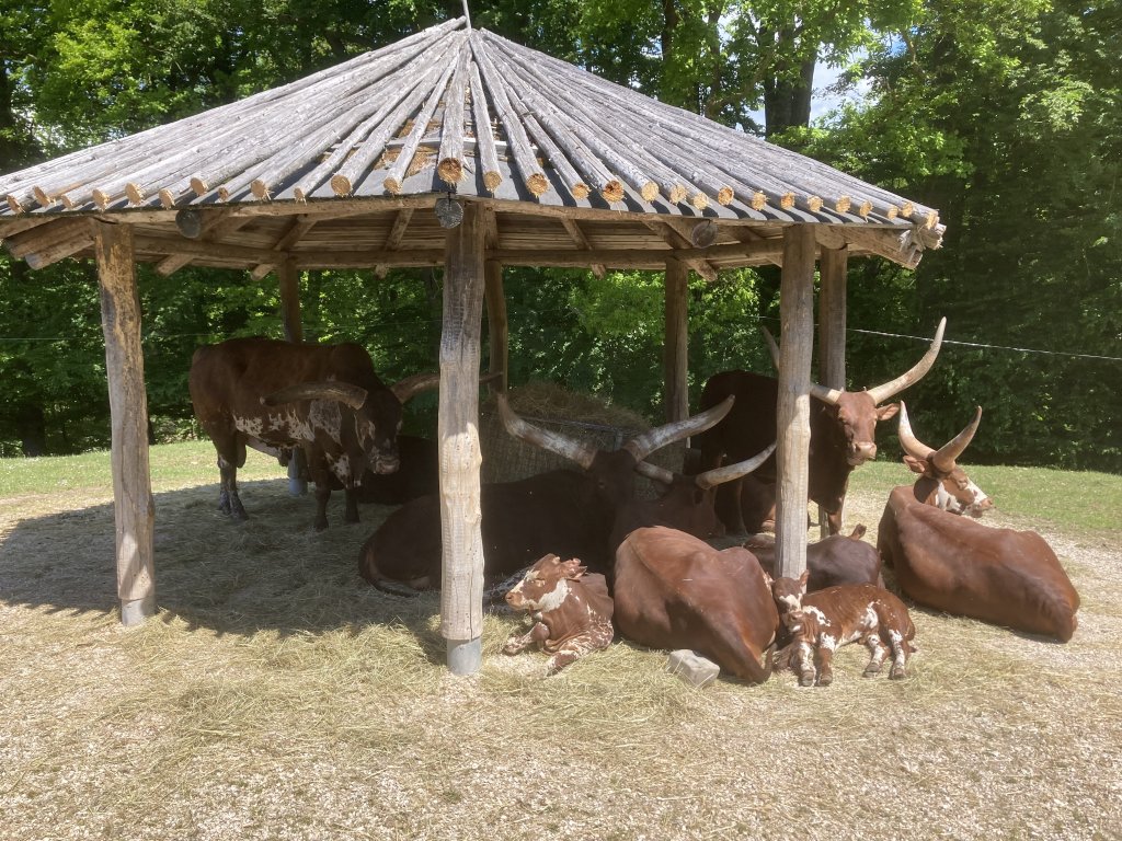 VÝLET DO ZOO DVŮR KRÁLOVÉ