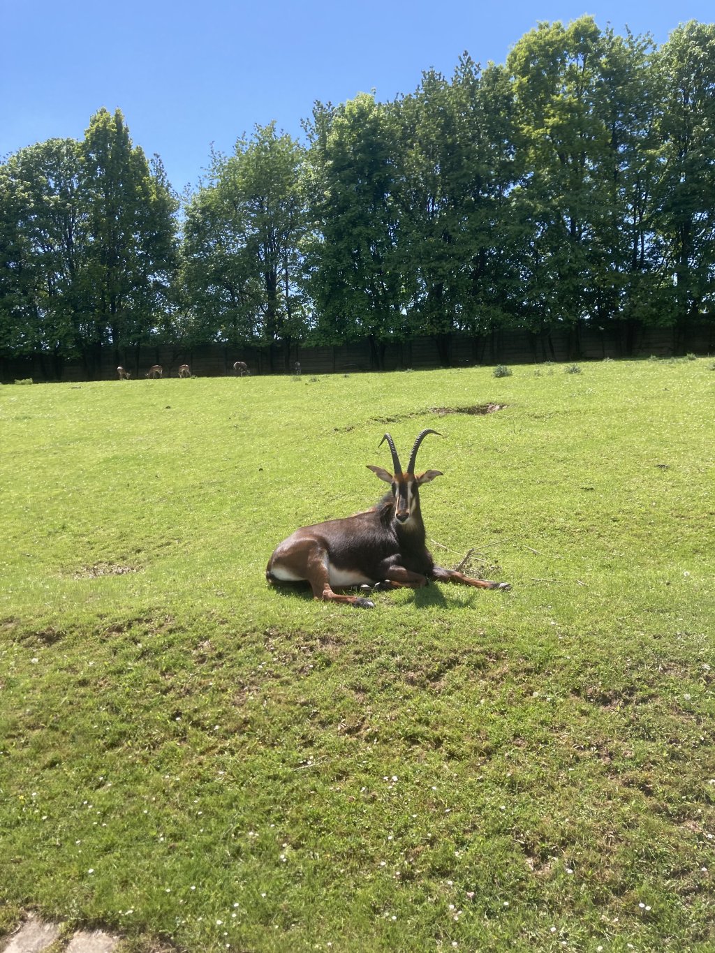 VÝLET DO ZOO DVŮR KRÁLOVÉ
