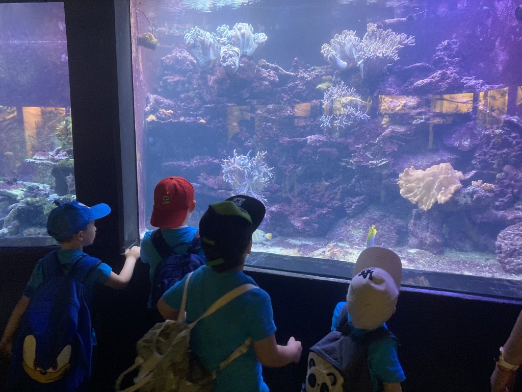 VÝLET DO ZOO DVŮR KRÁLOVÉ