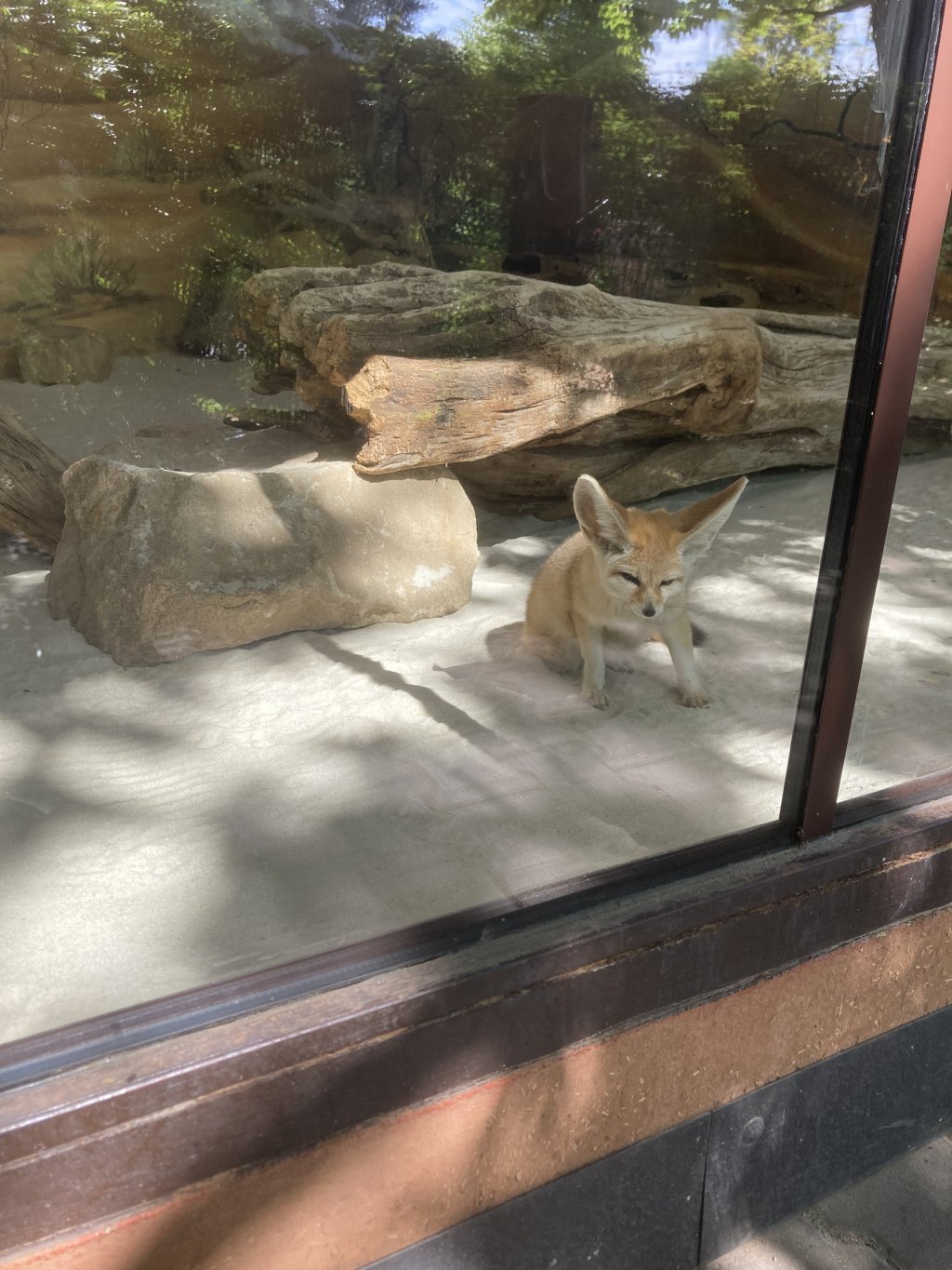 VÝLET DO ZOO DVŮR KRÁLOVÉ