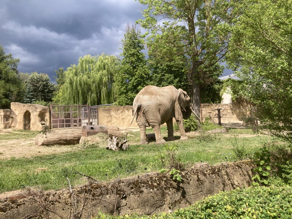 VÝLET DO ZOO DVŮR KRÁLOVÉ