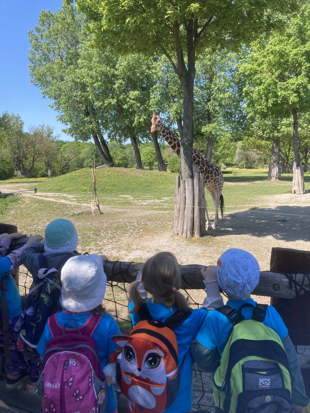 VÝLET DO ZOO DVŮR KRÁLOVÉ