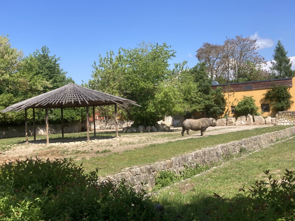VÝLET DO ZOO DVŮR KRÁLOVÉ