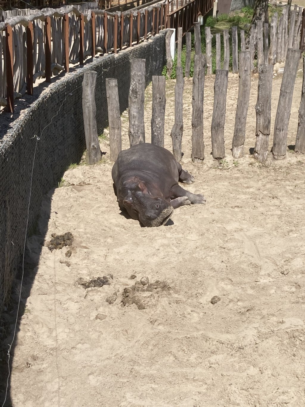 VÝLET DO ZOO DVŮR KRÁLOVÉ