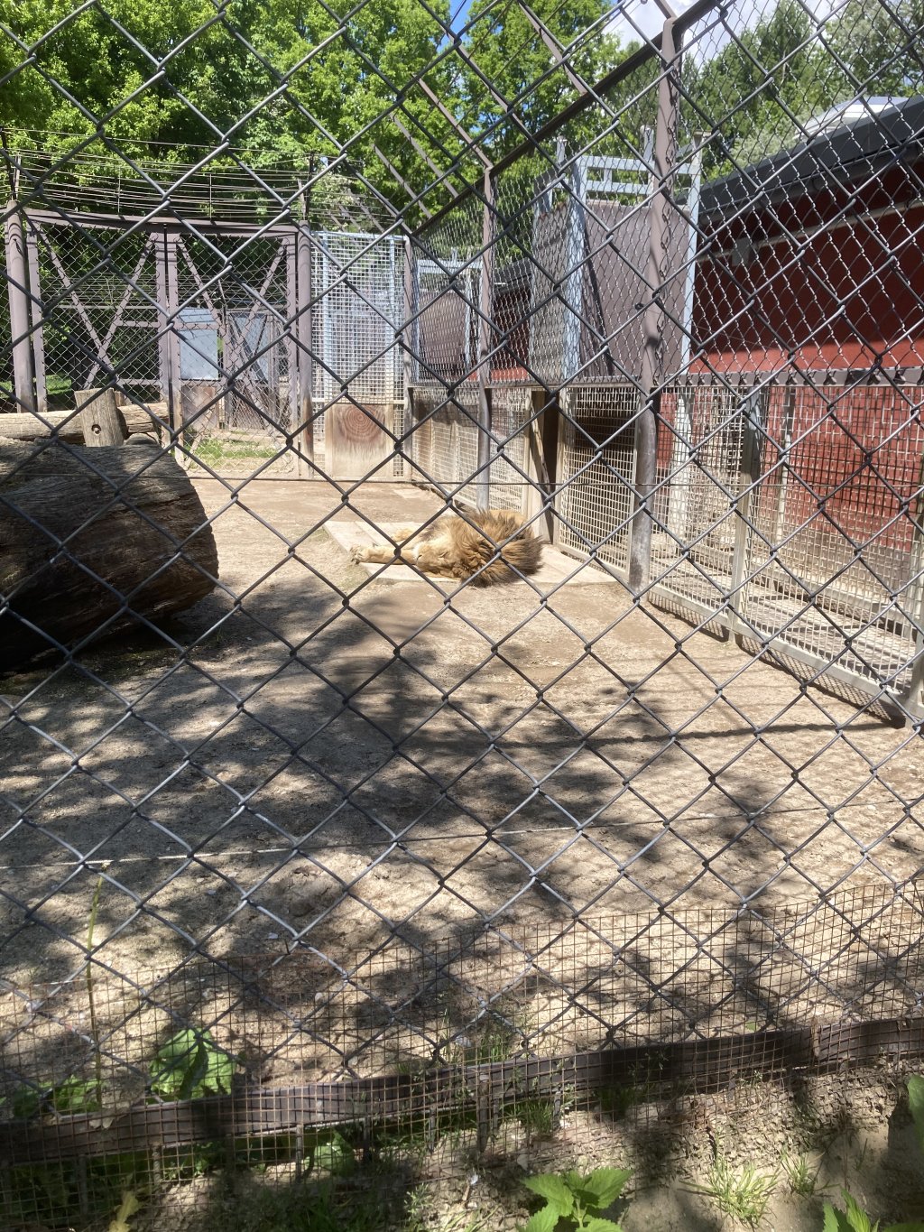 VÝLET DO ZOO DVŮR KRÁLOVÉ